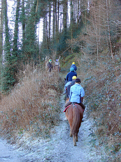 Cheltenham Ladies' College Horse riding